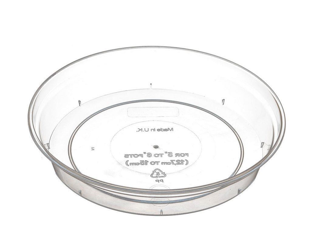 Clear Pots & Trays