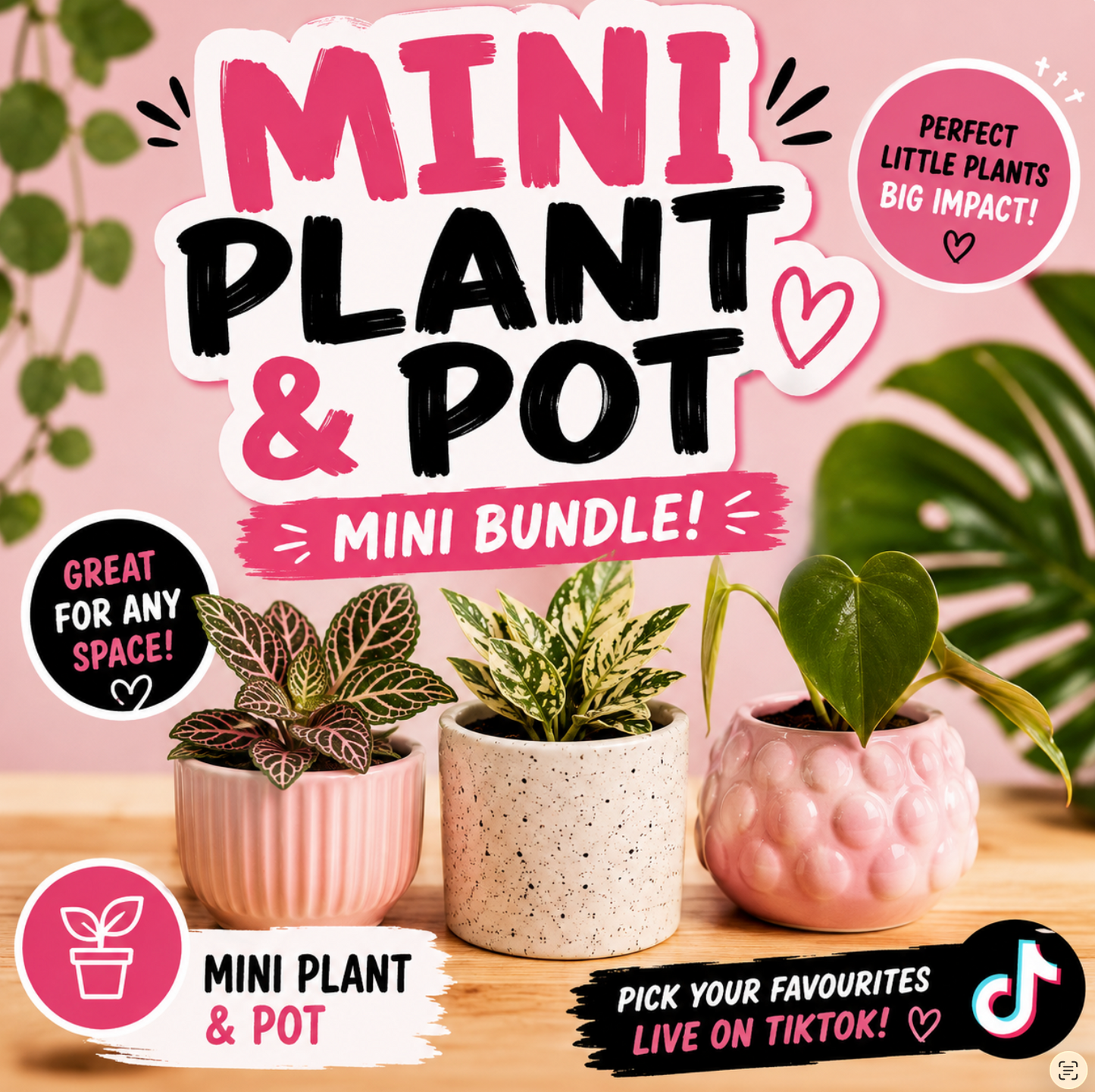 Mini Plant & Pot Bundle! Buy More Save More