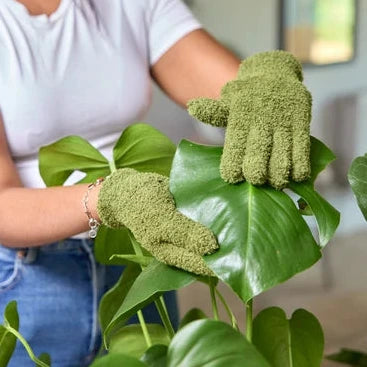 Dust & Shine Houseplant Gloves
