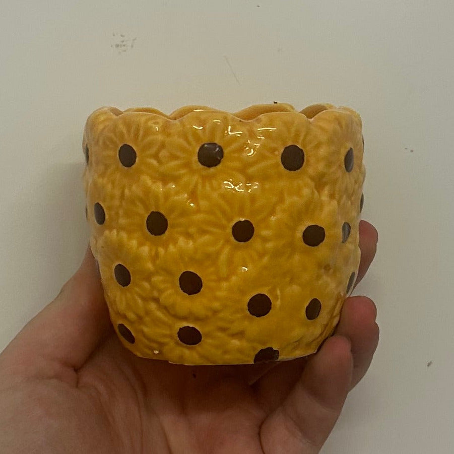 Mini Pots - Mixed Options