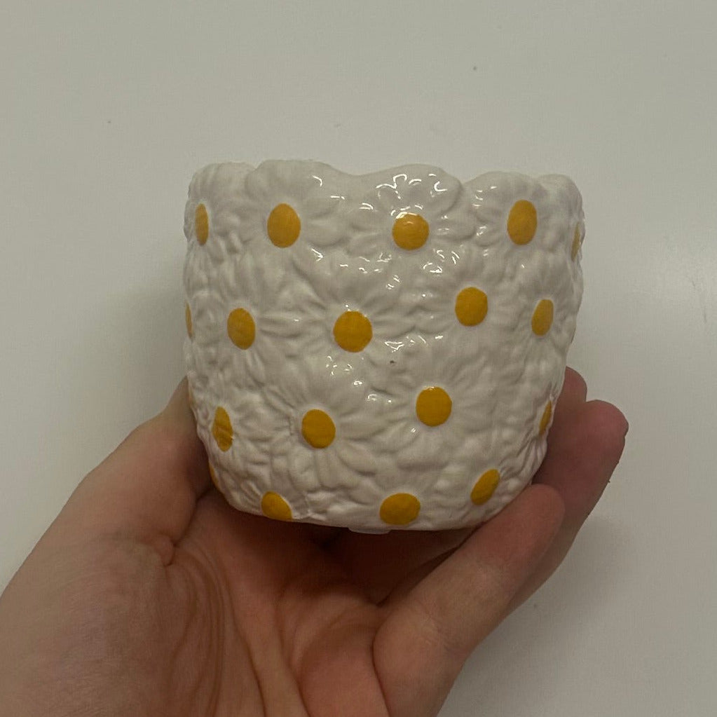 Mini Pots - Mixed Options