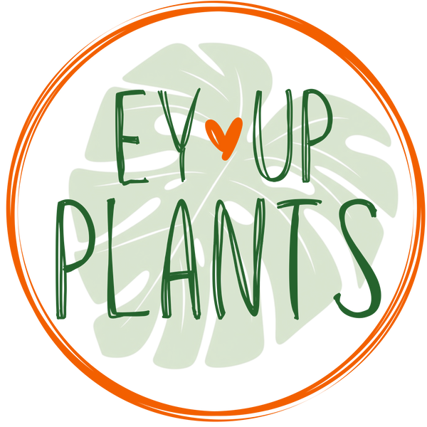 Ey-Up Plants
