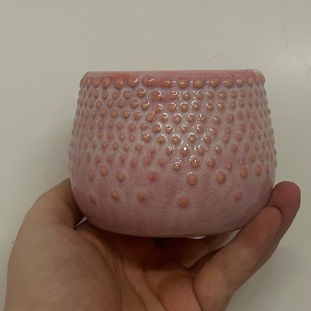 Mini Pots - Mixed Options