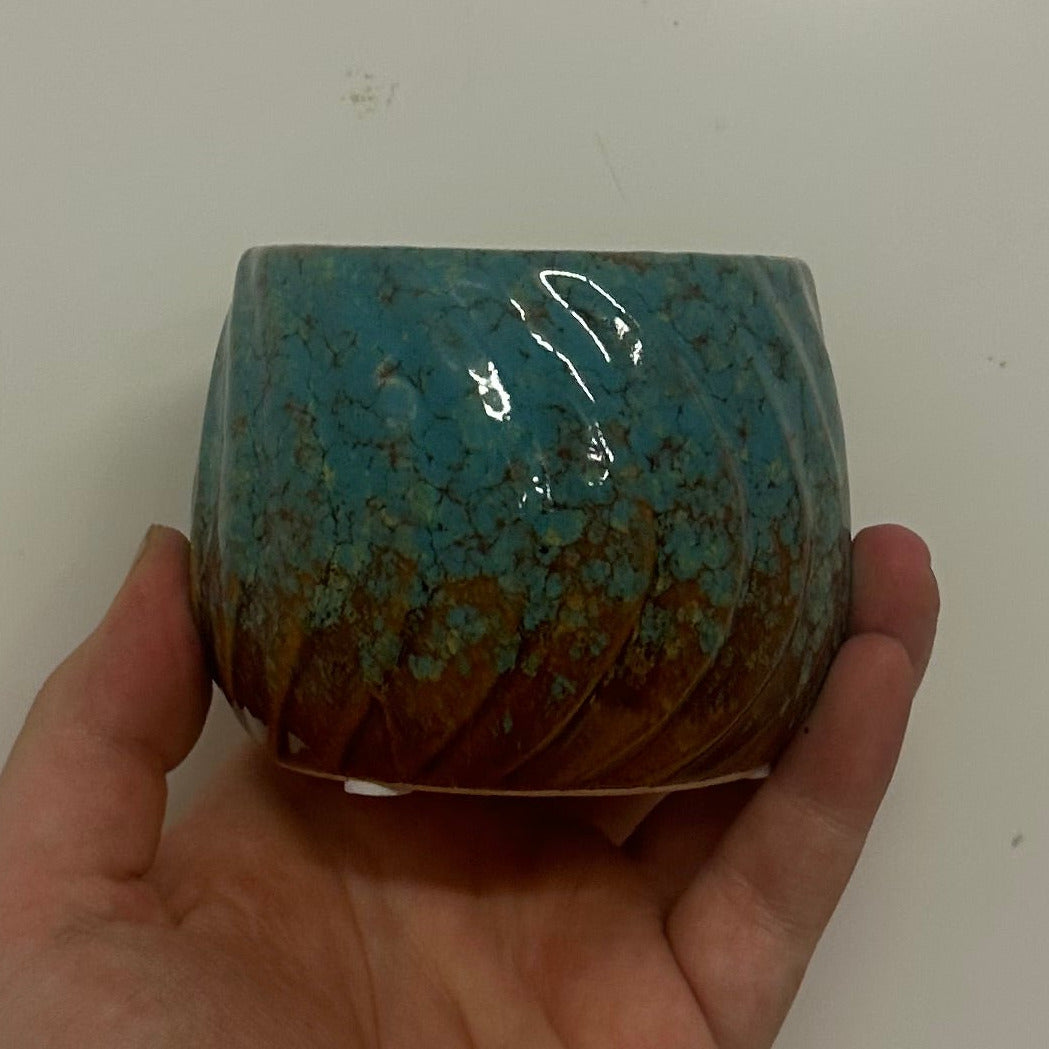 Mini Pots - Mixed Options