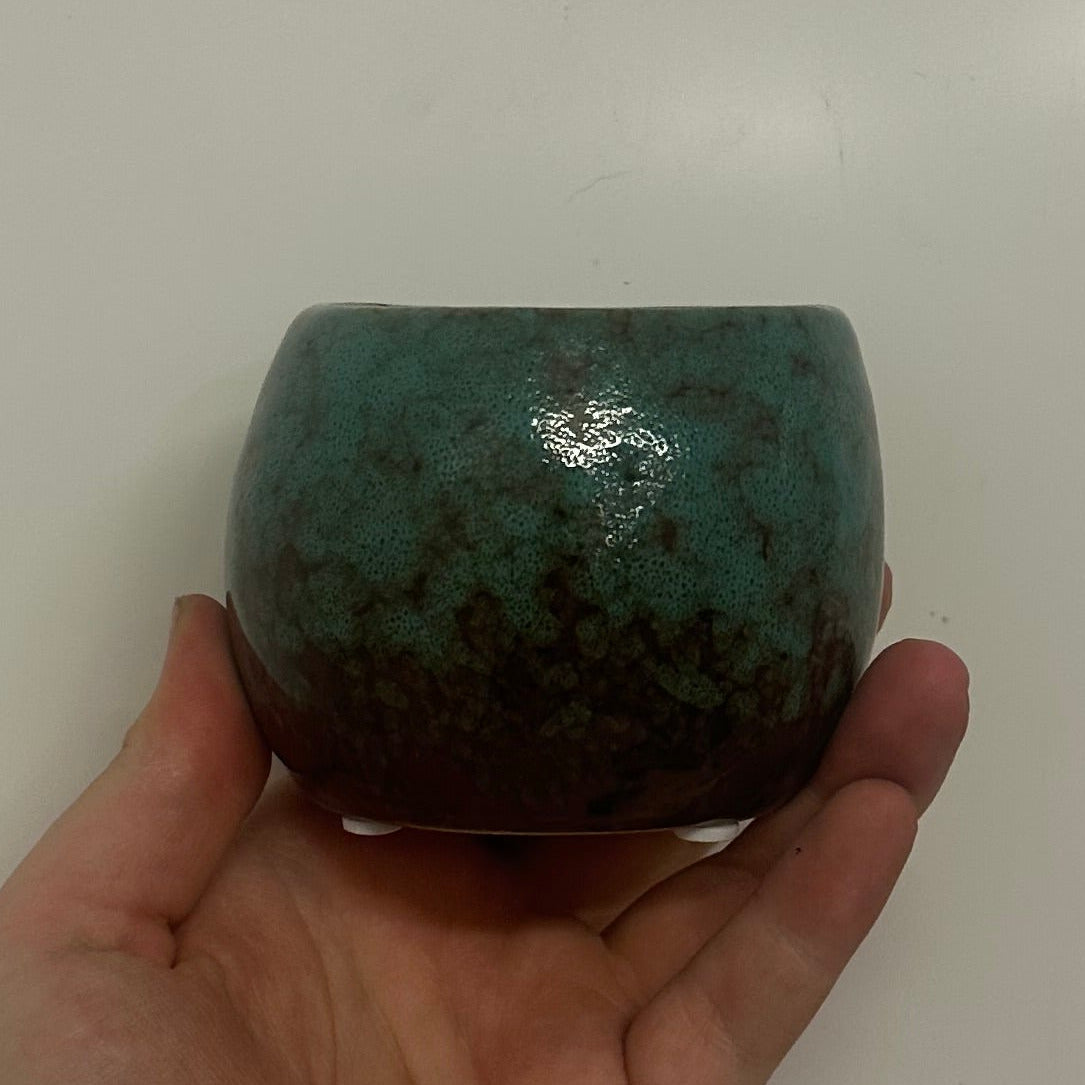 Mini Pots - Mixed Options