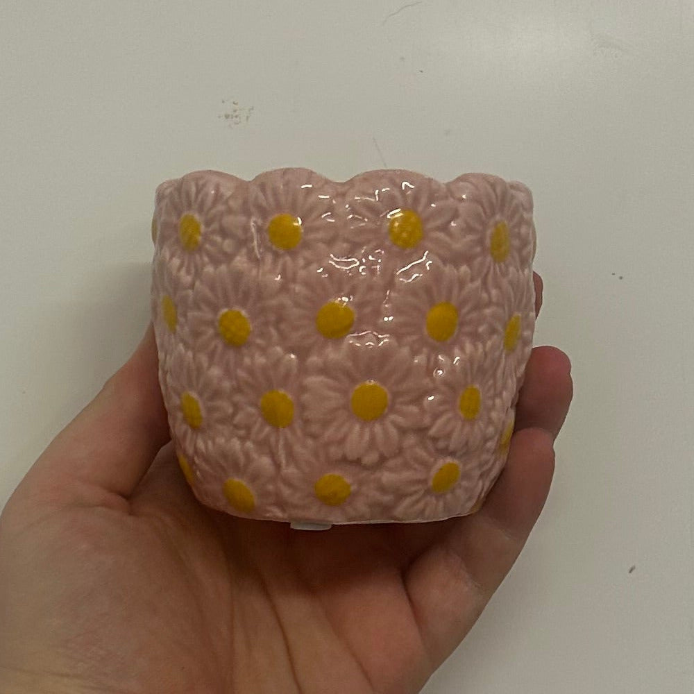 Mini Pots - Mixed Options