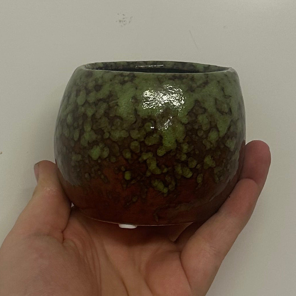 Mini Pots - Mixed Options
