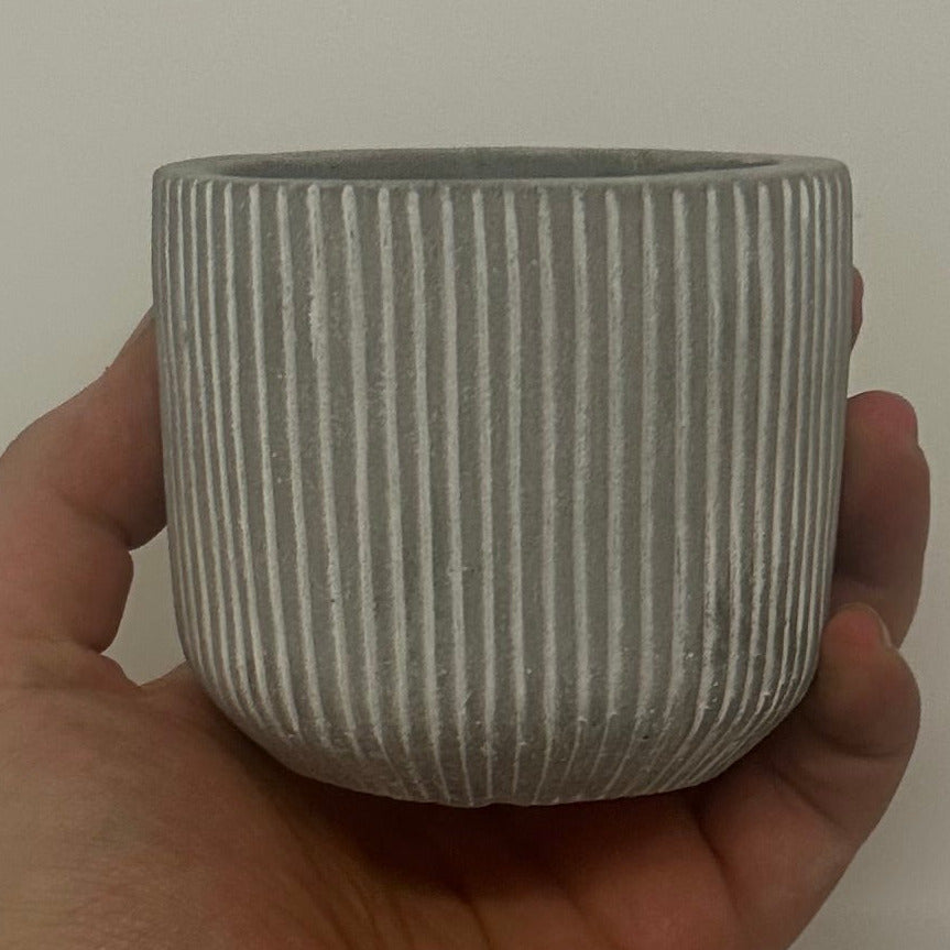 Mini Pots - Mixed Options