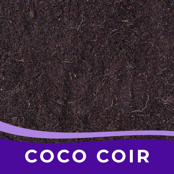 Coco Coir