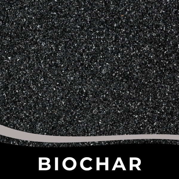 Activated Charcoal & Biochar
