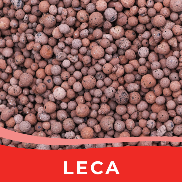 LECA / Clay Pebbles