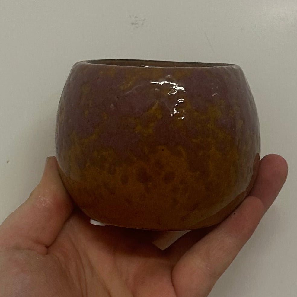 Mini Pots - Mixed Options