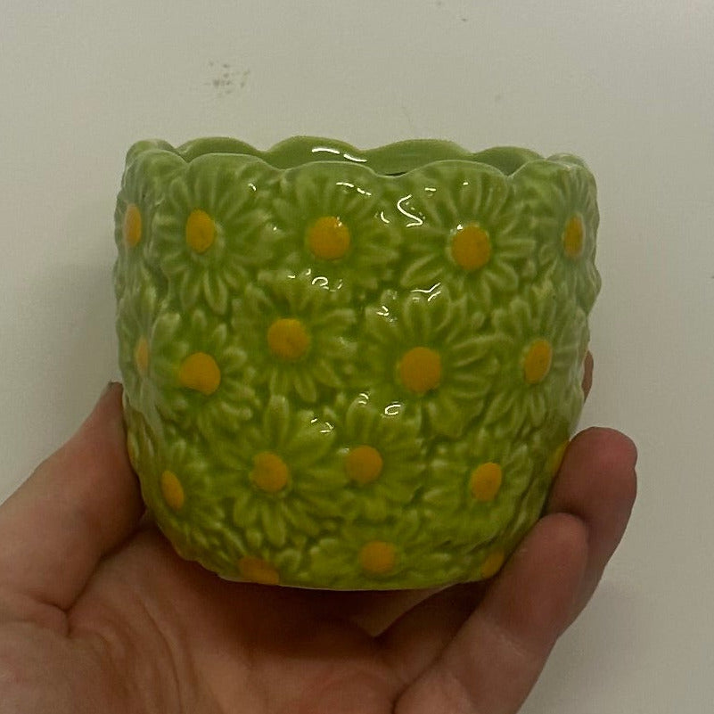 Mini Pots - Mixed Options