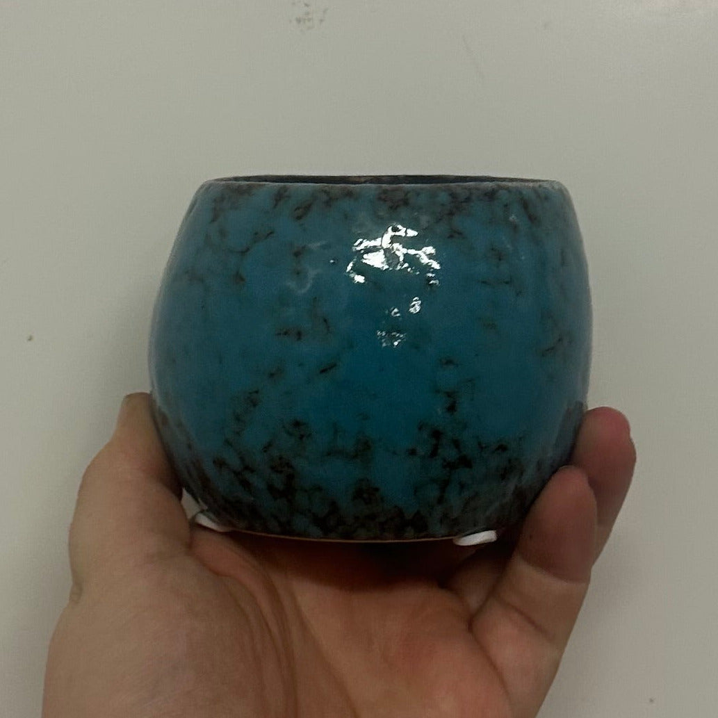 Mini Pots - Mixed Options