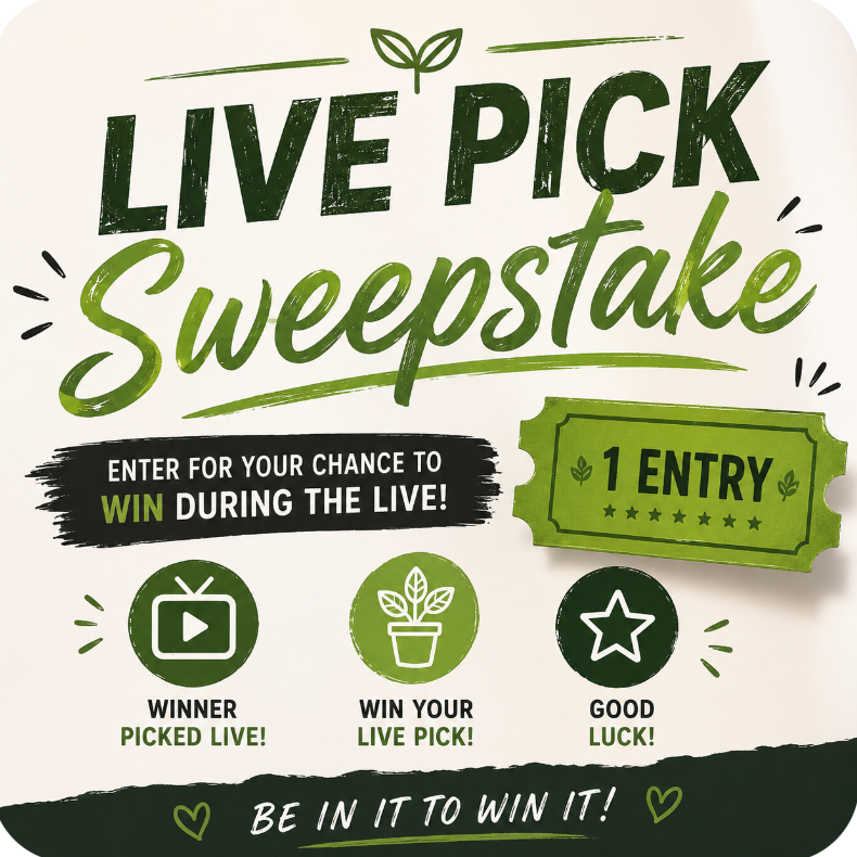 Live Pick Sweepstake (Anthurium Pick) 1-8