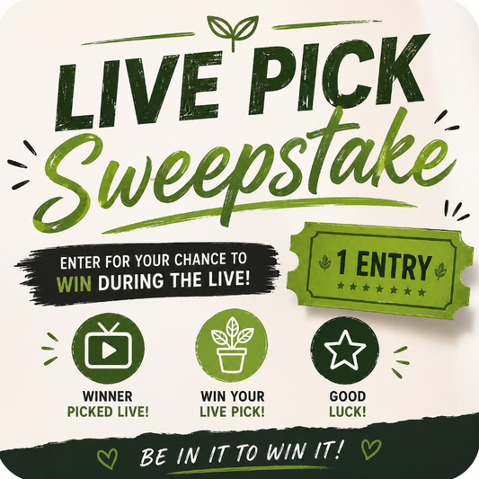 Live Pick Sweepstake (Anthurium Pick) 1-8