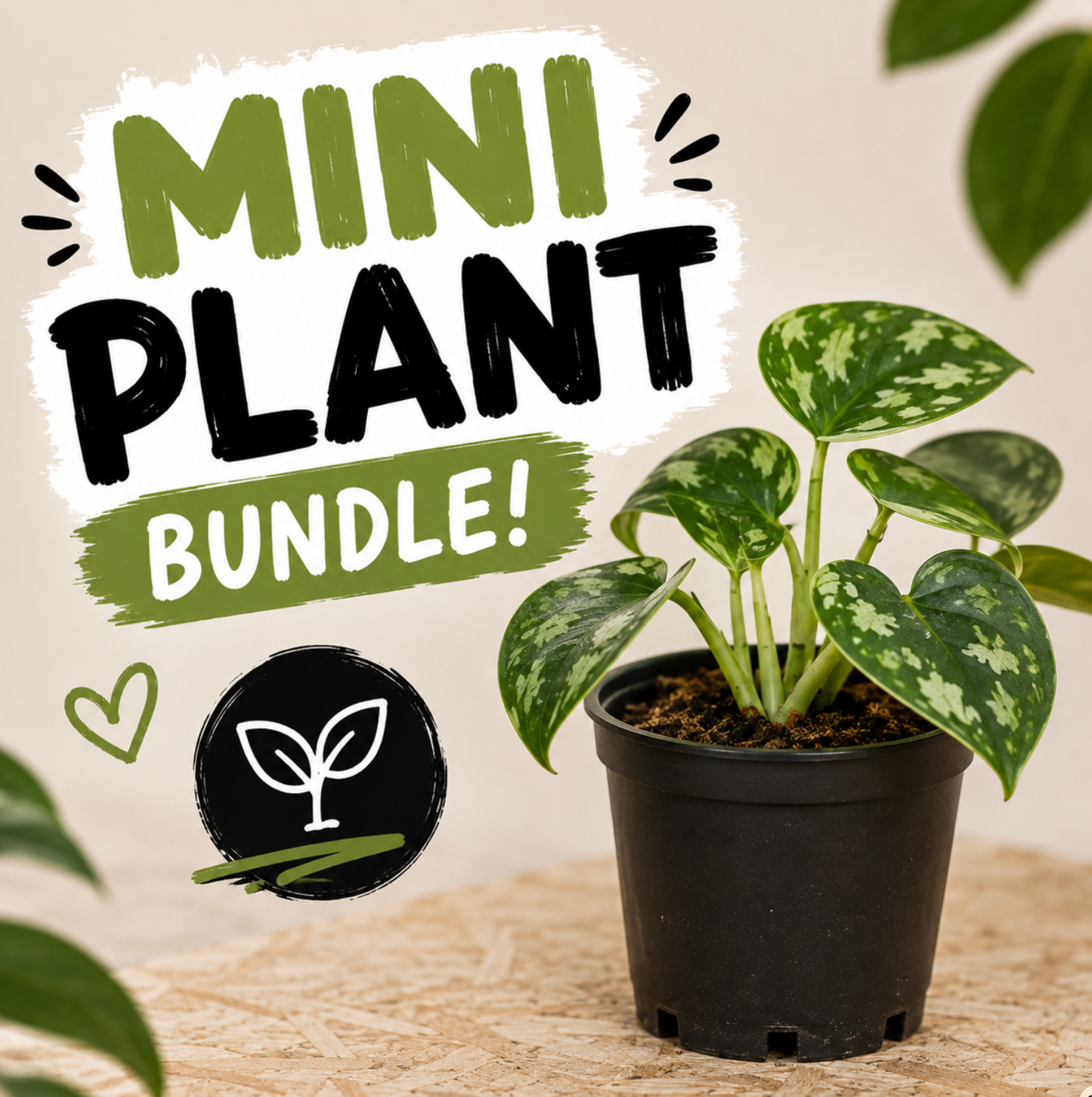 Mini Plant Bundle! Buy More Save More