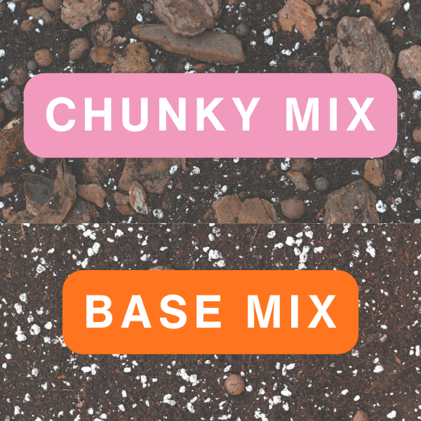 Chunky & Base Mix 10L Soil Bundle