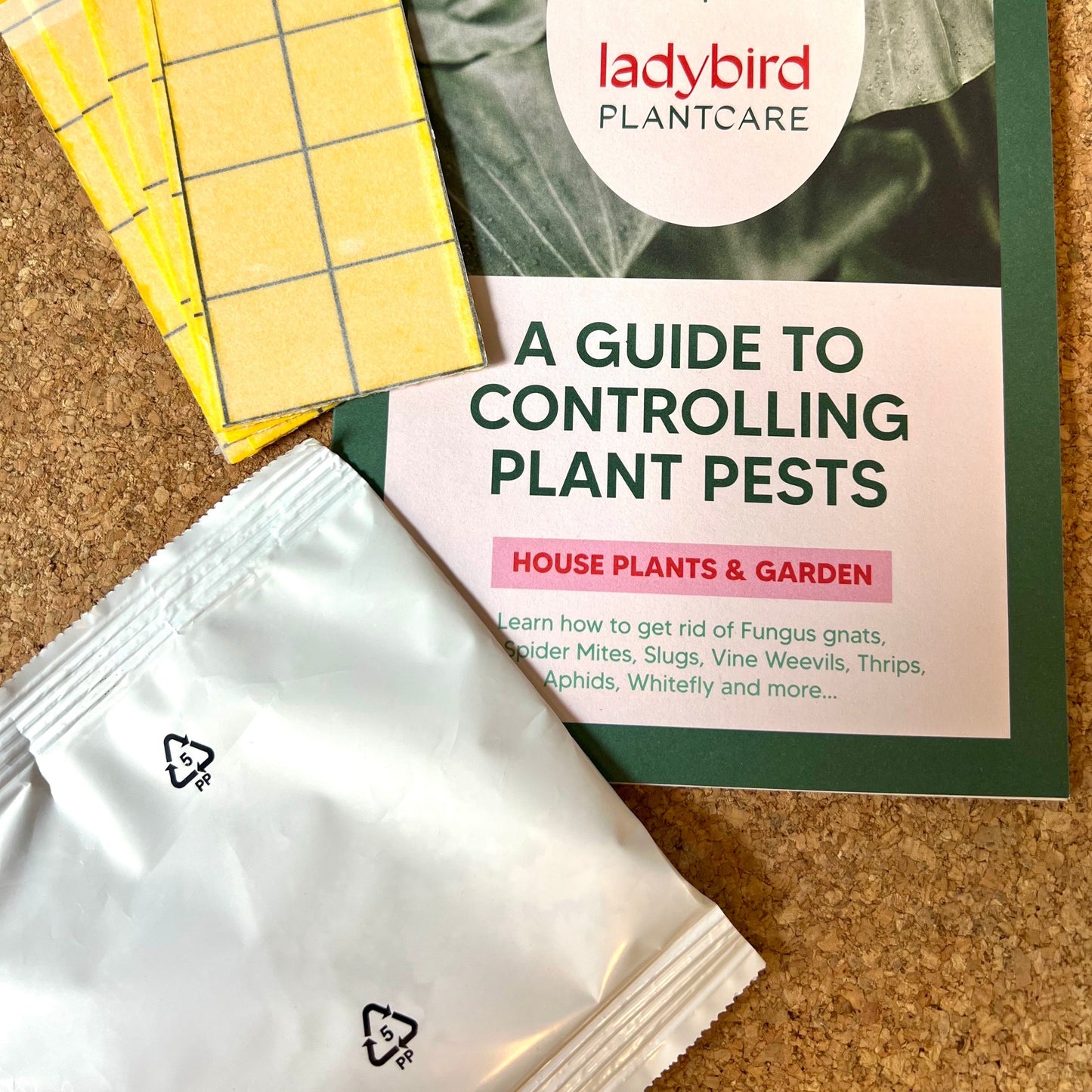 Fungus Gnat treatment bundle (includes free First Class shipping)