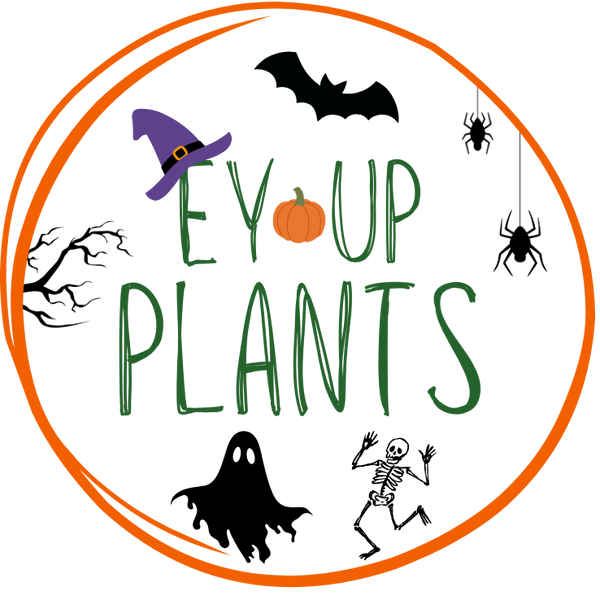 Ey-Up Plants