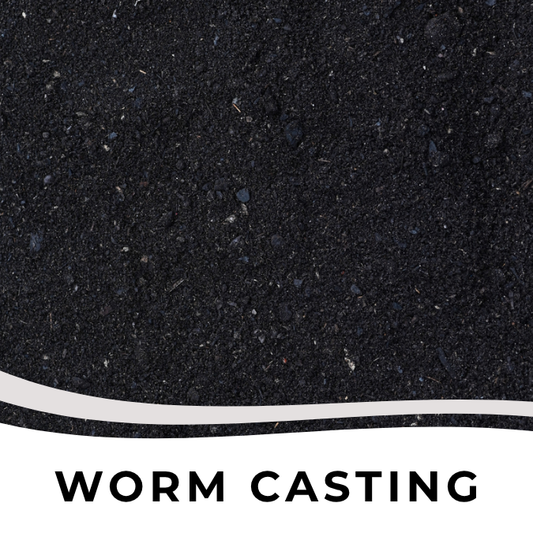 Worm Castings