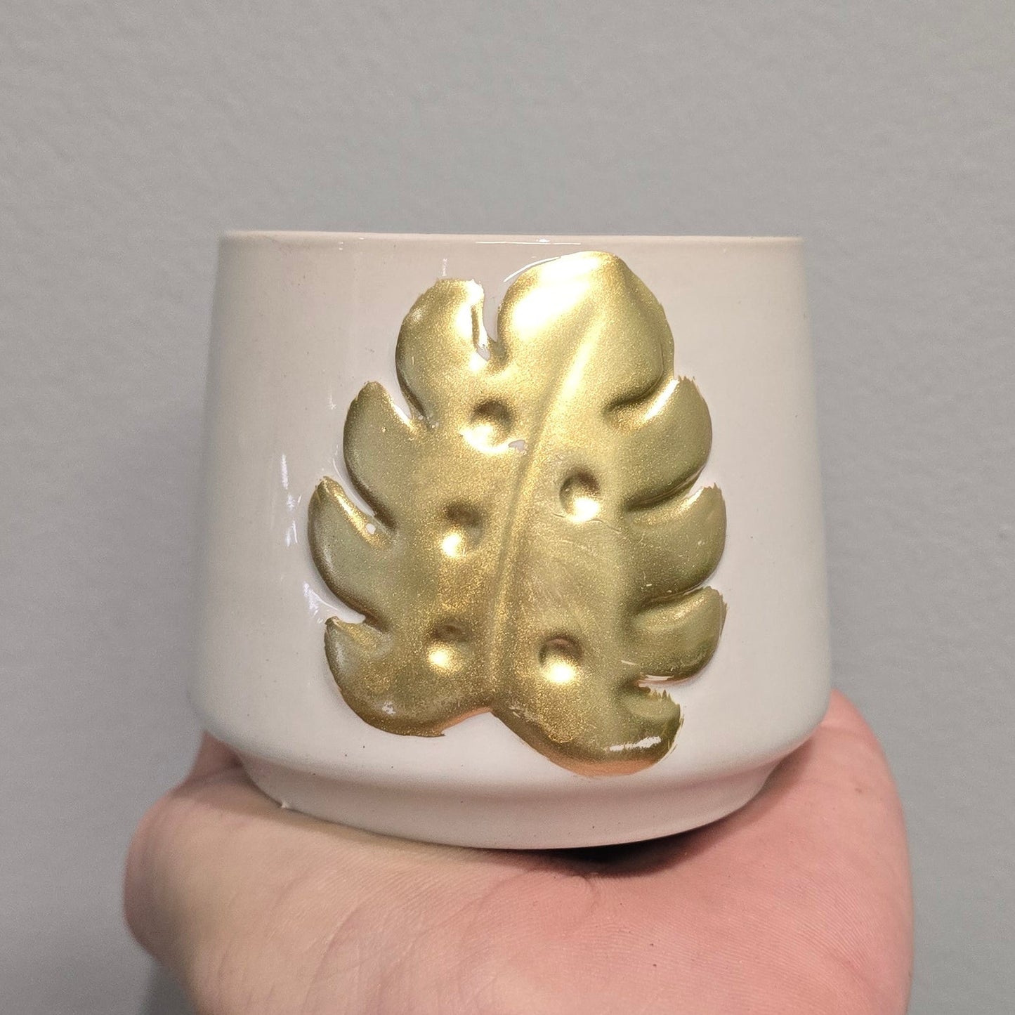 Mini Pots - Mixed Options