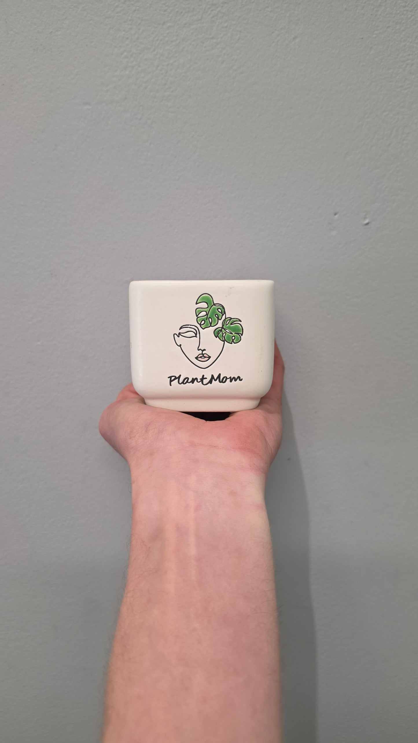 Mini Pots - Mixed Options