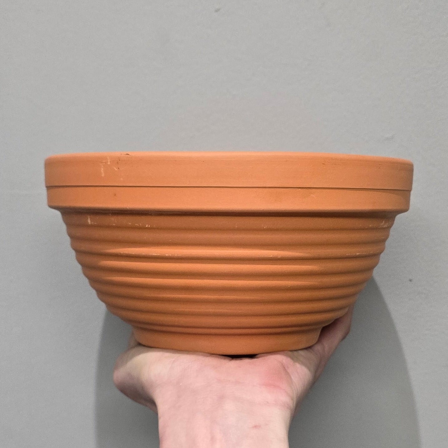 Terracotta Bowls & Dish