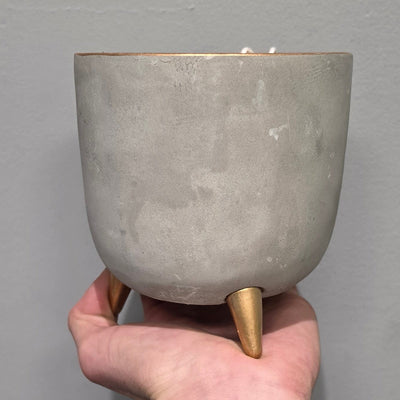 Golden Rimmed Leg Pots