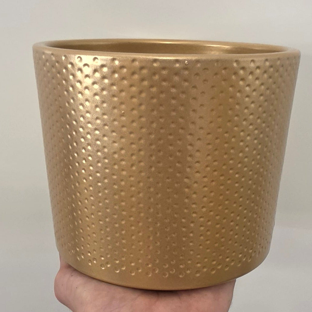 Gold Noble Pots
