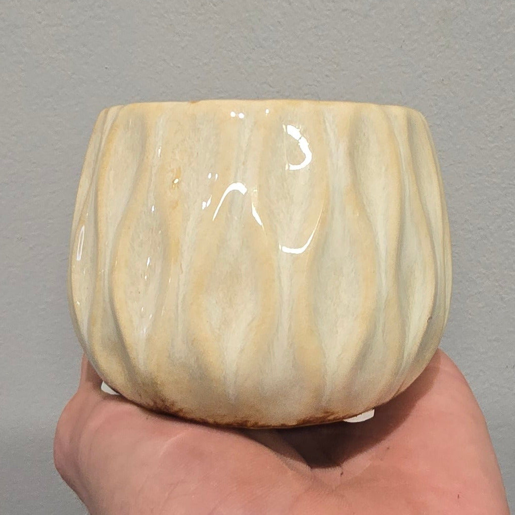 Mini Pots - Mixed Options