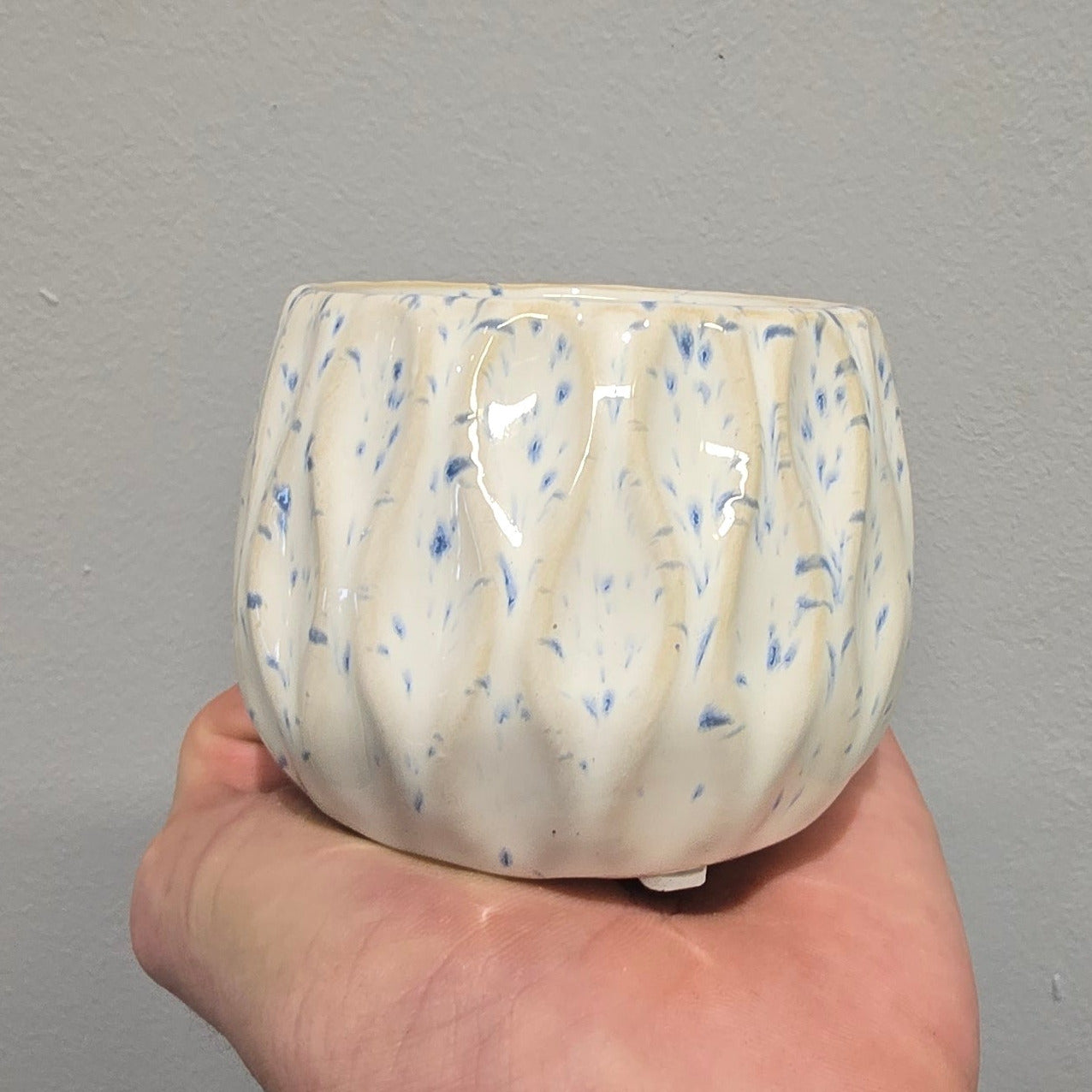 Mini Pots - Mixed Options