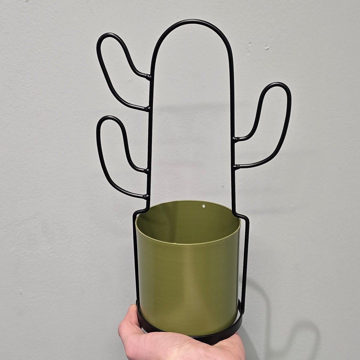 Cactus Frame Pots