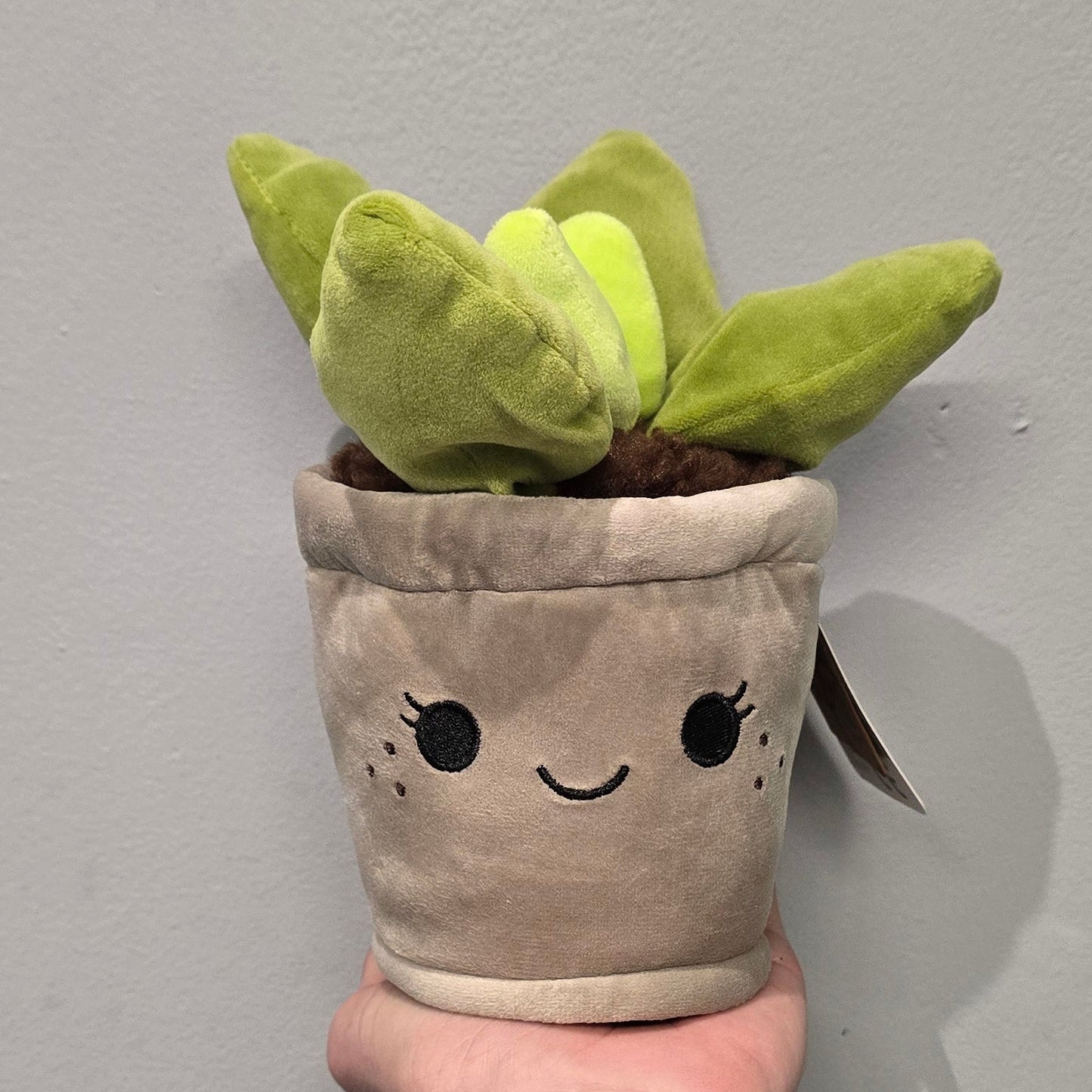 Take Me Home "Plant Pot Plushies"