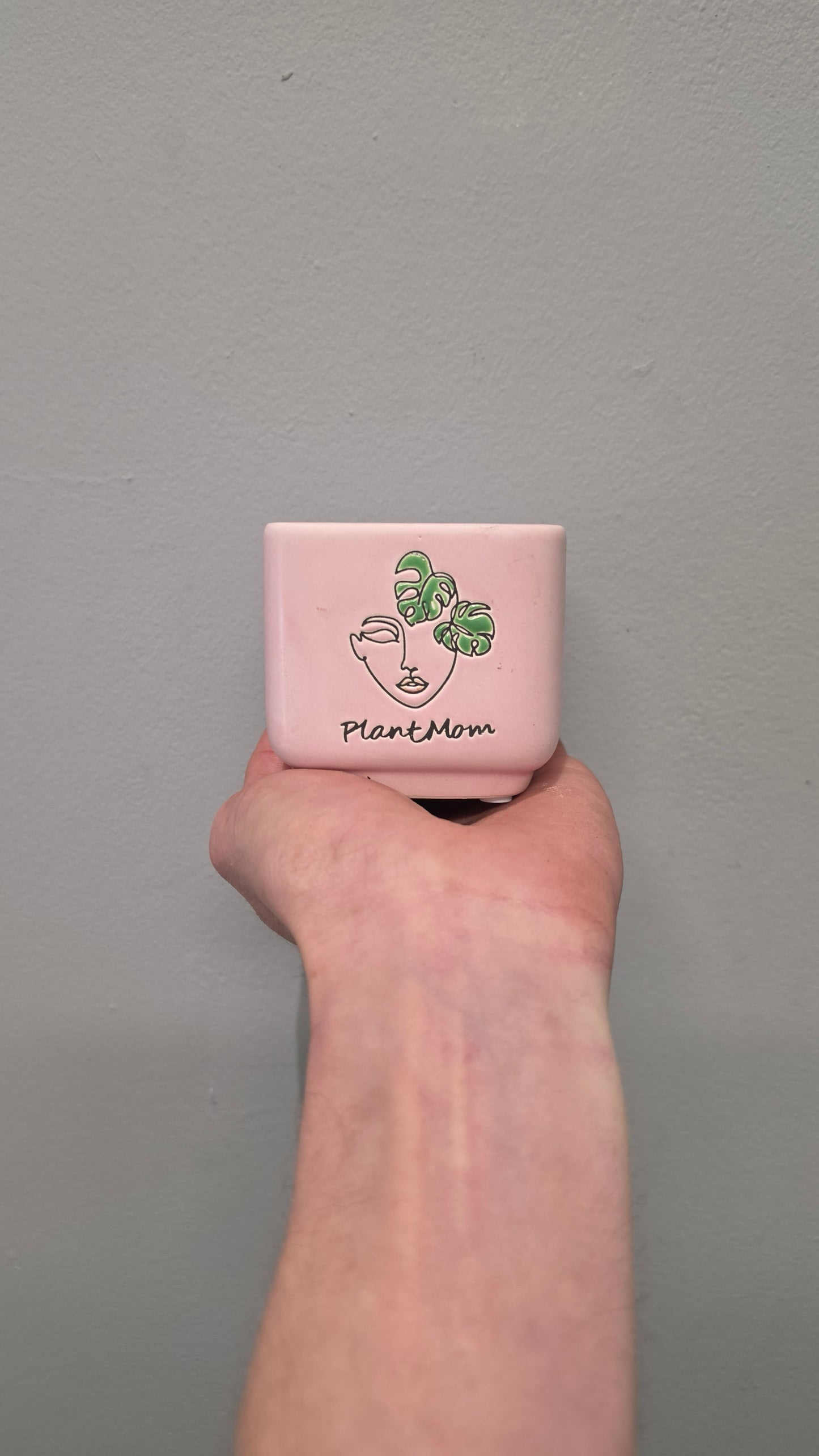 Mini Pots - Mixed Options