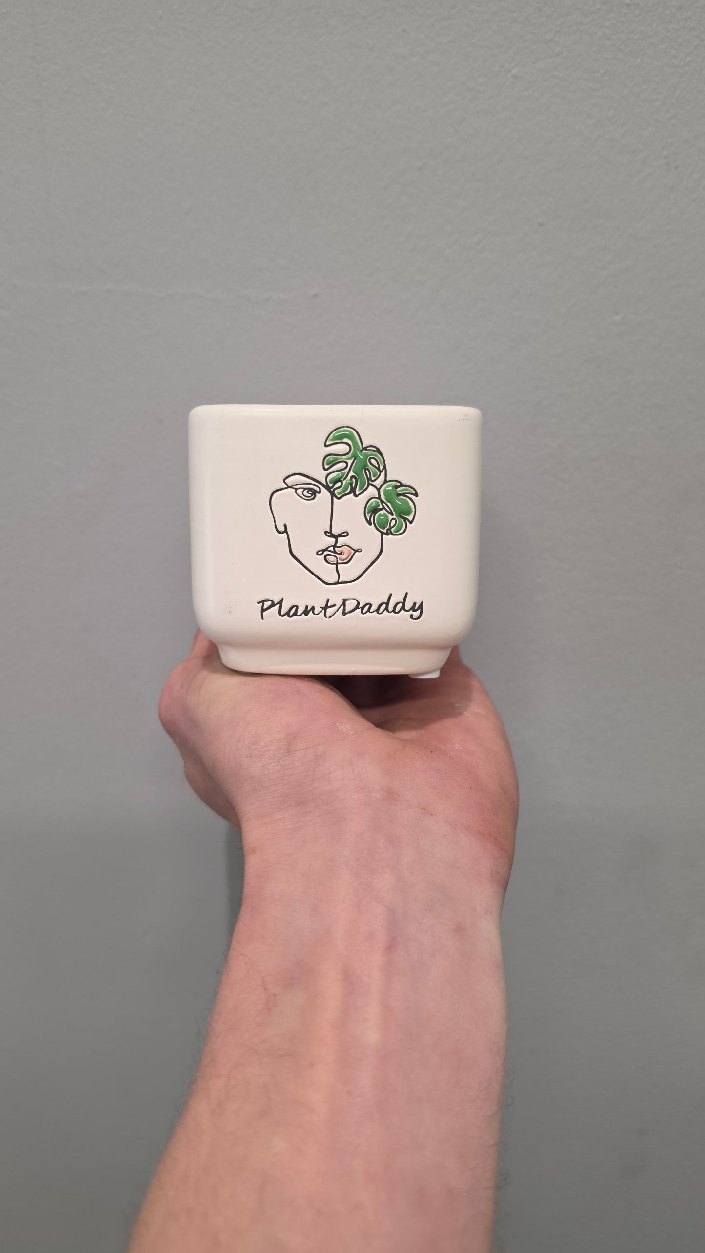 Mini Pots - Mixed Options