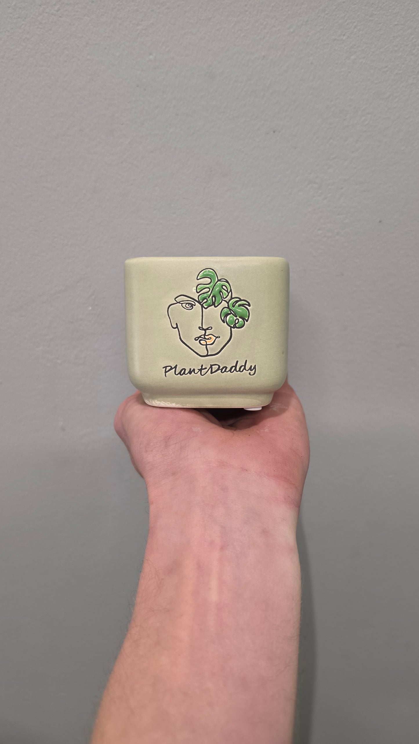 Mini Pots - Mixed Options
