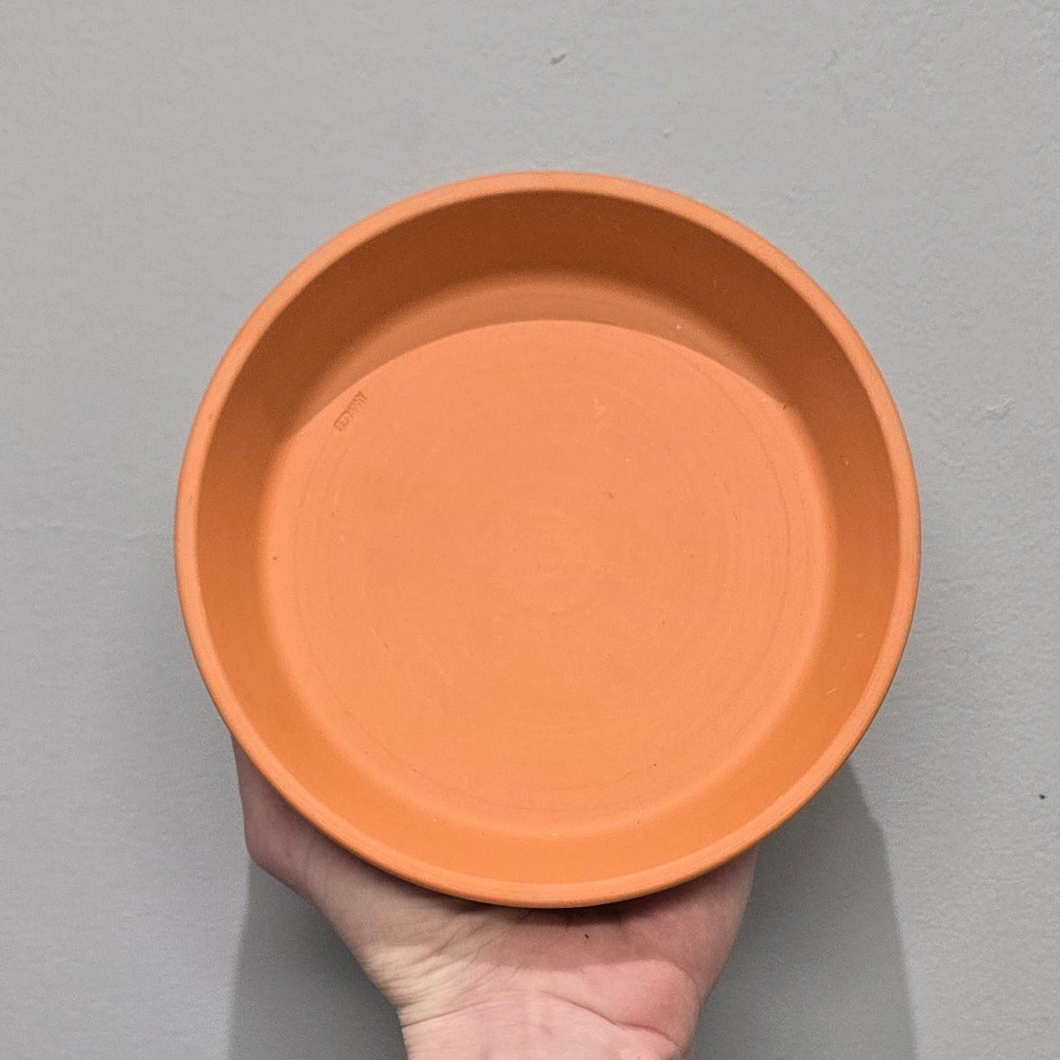 Terracotta Bowls & Dish