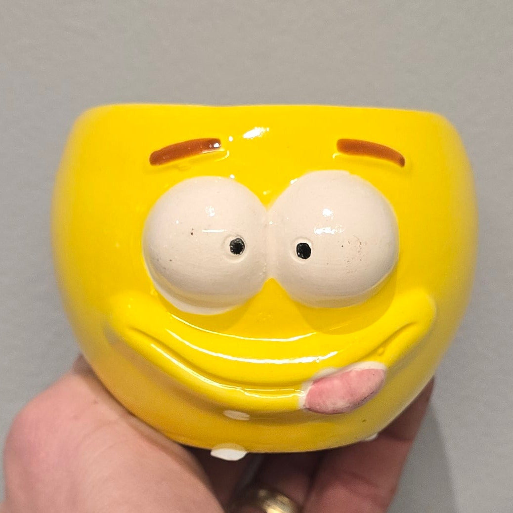 Mini Emoji Face Pots