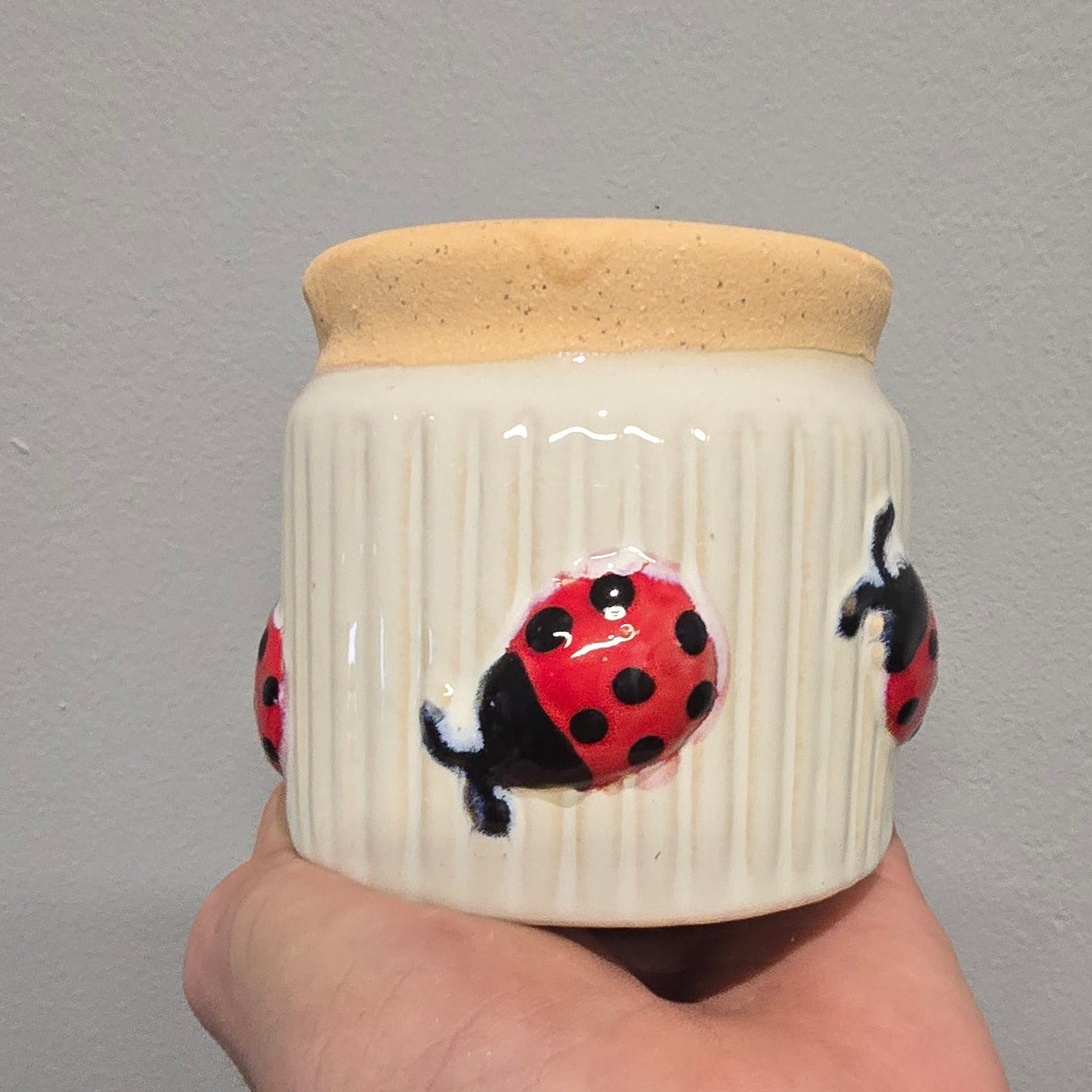 Mini Pots - Mixed Options