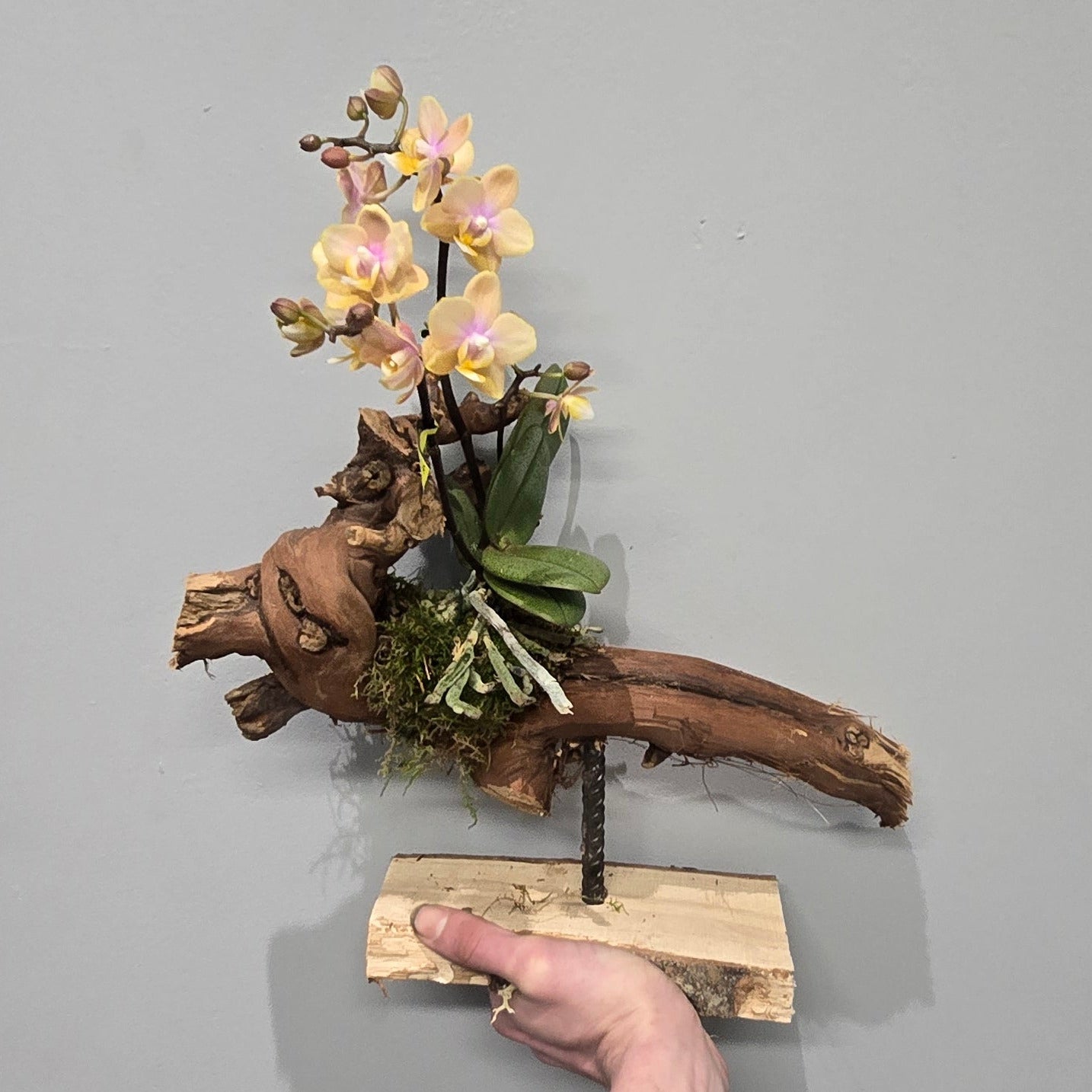 Orchid Mounting Stand