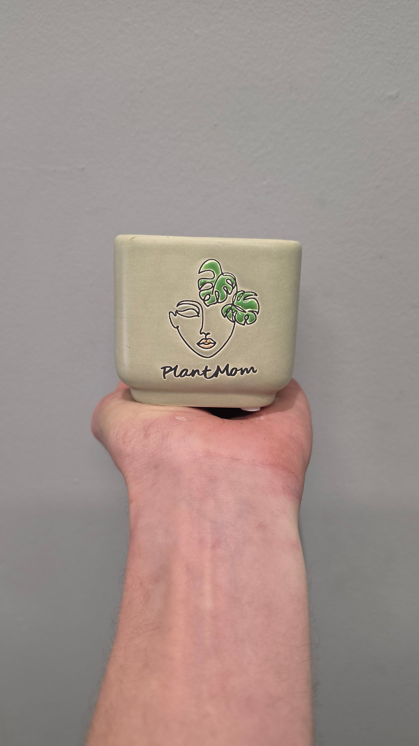 Mini Pots - Mixed Options