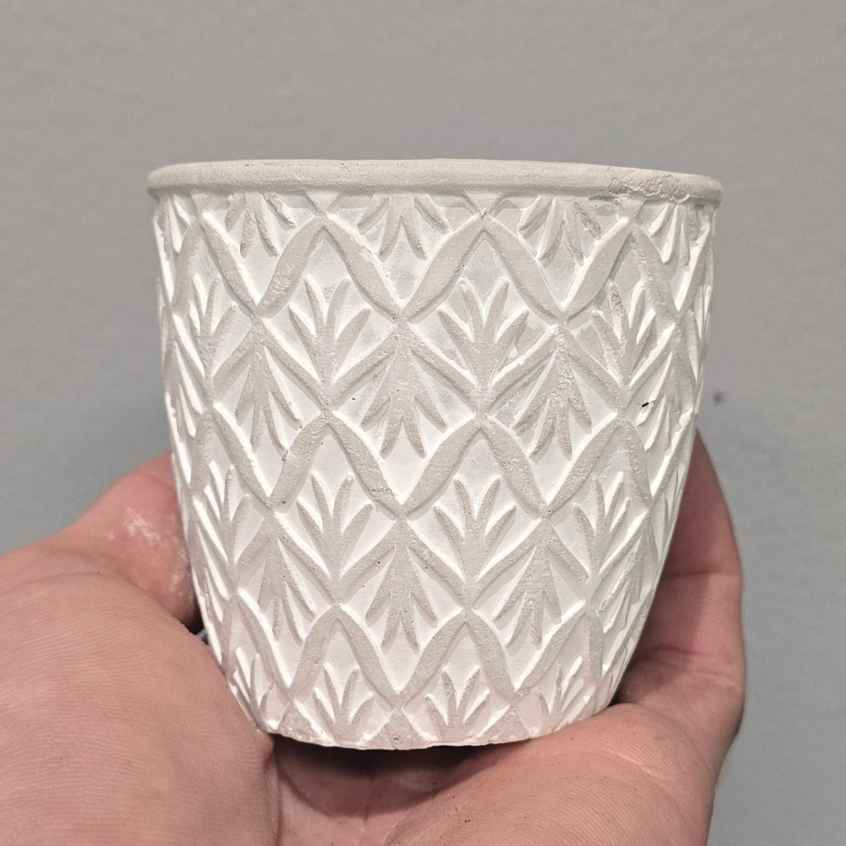 Mini Pots - Mixed Options