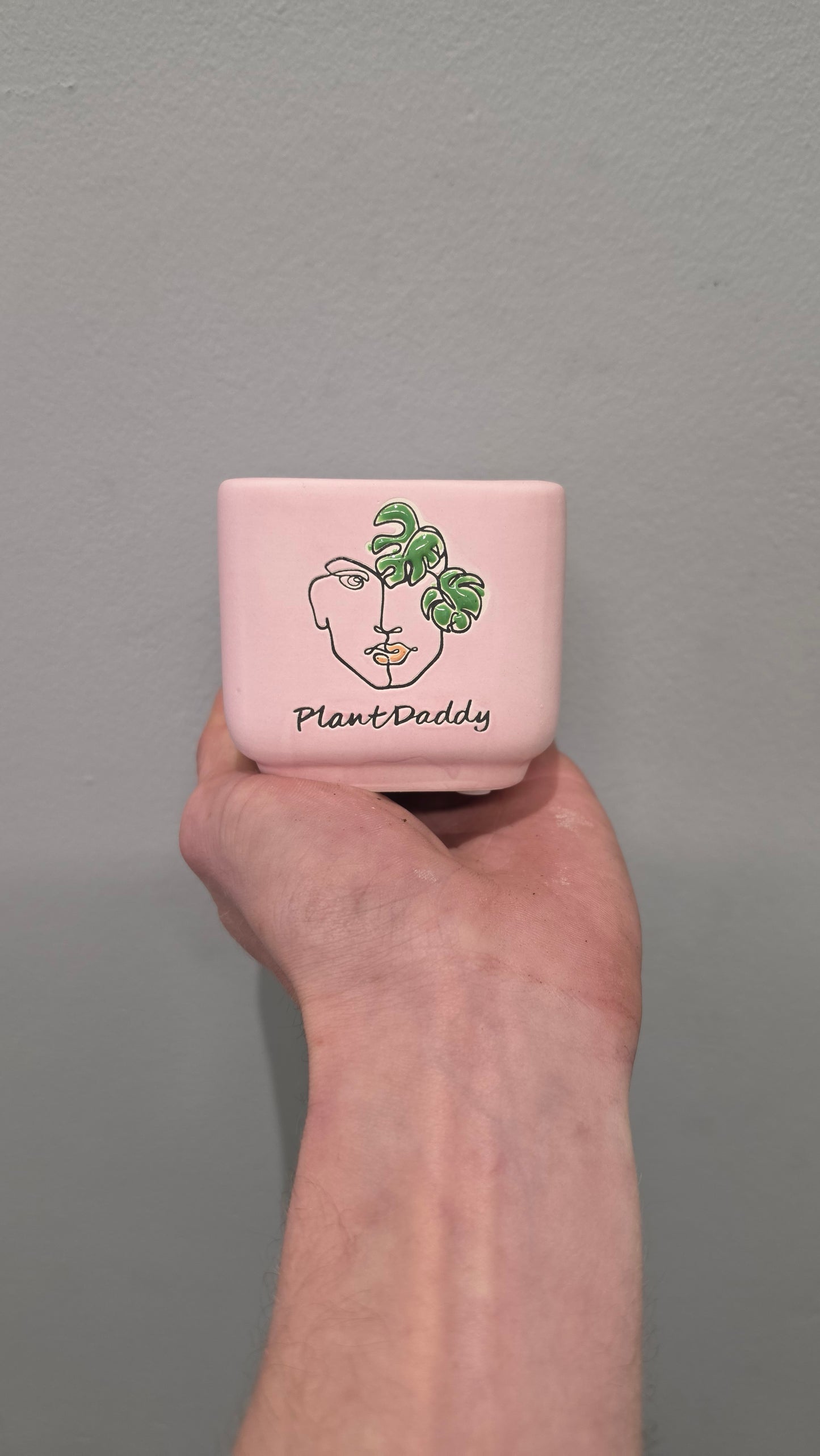 Mini Pots - Mixed Options