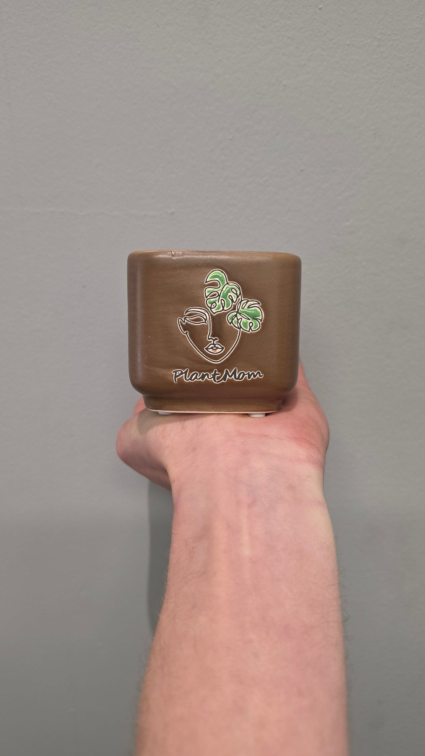 Mini Pots - Mixed Options