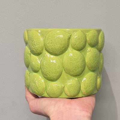 Fruity Ceramic Pots